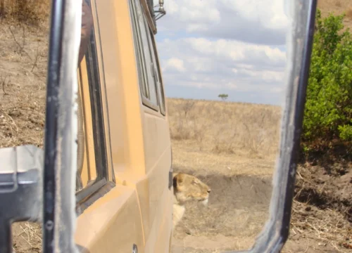 Things to see and do when visiting Tanzania