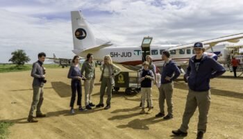 3 Days Tarangire and Ngorongoro Flying Safari from Zanzibar