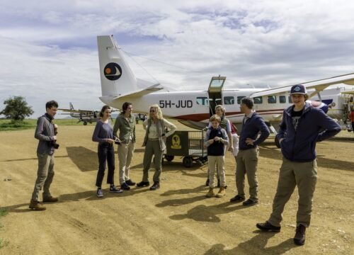 3 Days Tarangire and Ngorongoro Flying Safari from Zanzibar