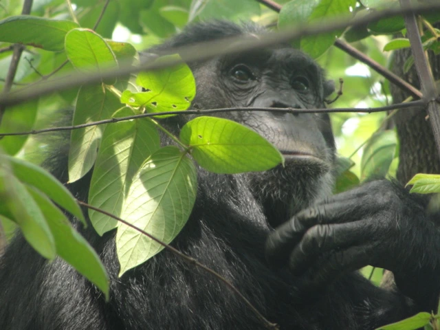 4 Days Tarangire, Ngorongoro and Manyara Safari