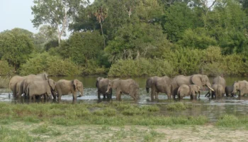 3 Days Iconic Tarangire and Ngorongoro Safari