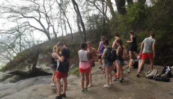 4 Days Mikumi and Udzungwa Safari