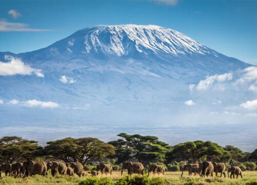 7 Days Mount Kilimanjaro Marangu Route