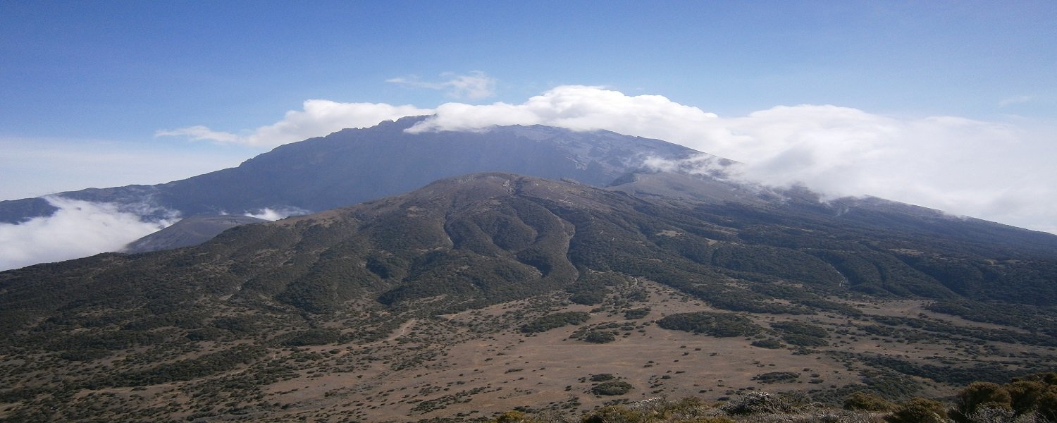 Ngorongoro