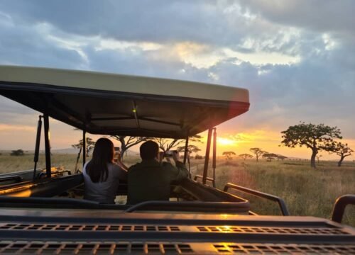 The 8 best things about travel adventure