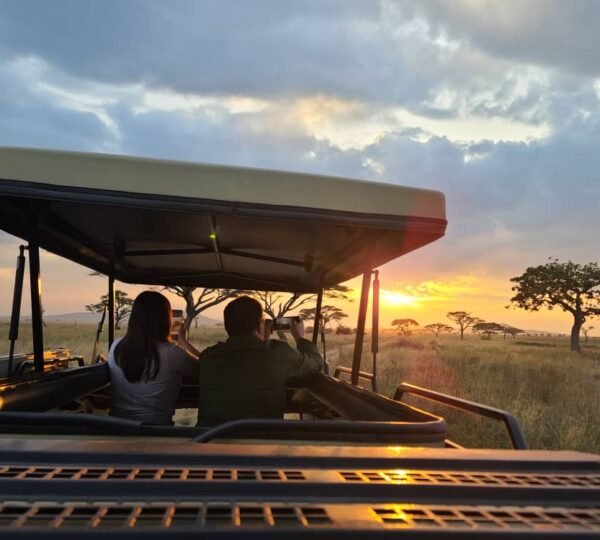 The 8 best things about travel adventure