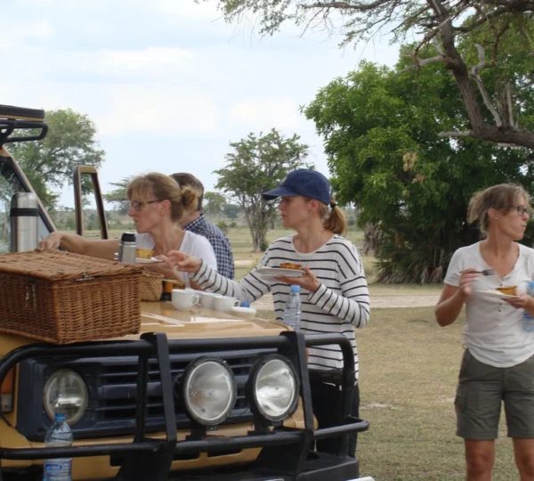 Maapeti Safari Galley