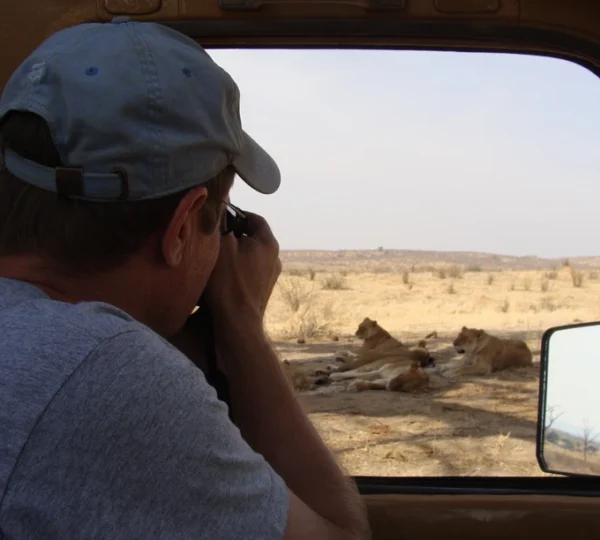 Maapeti Safari Gallery
