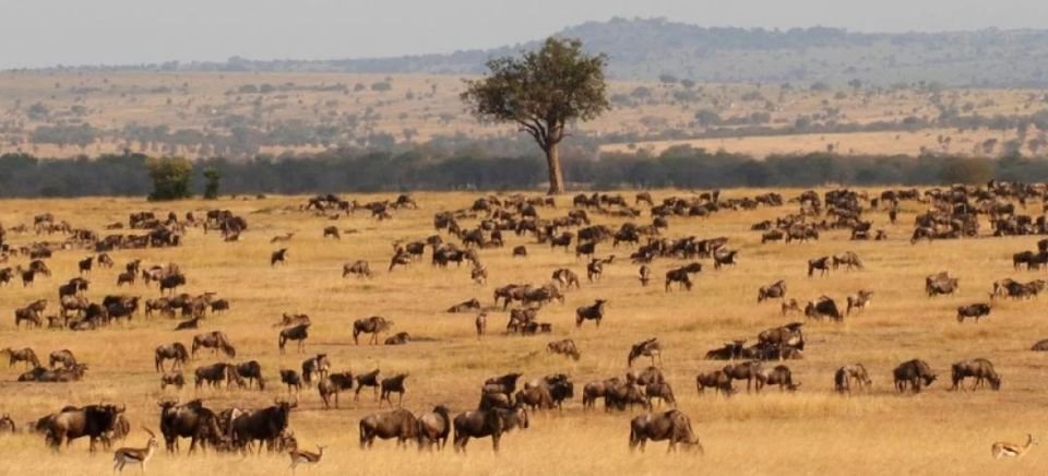 Serengeti National Park