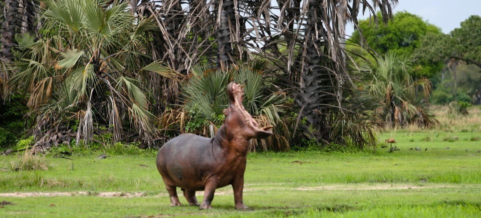 Katavi National Park