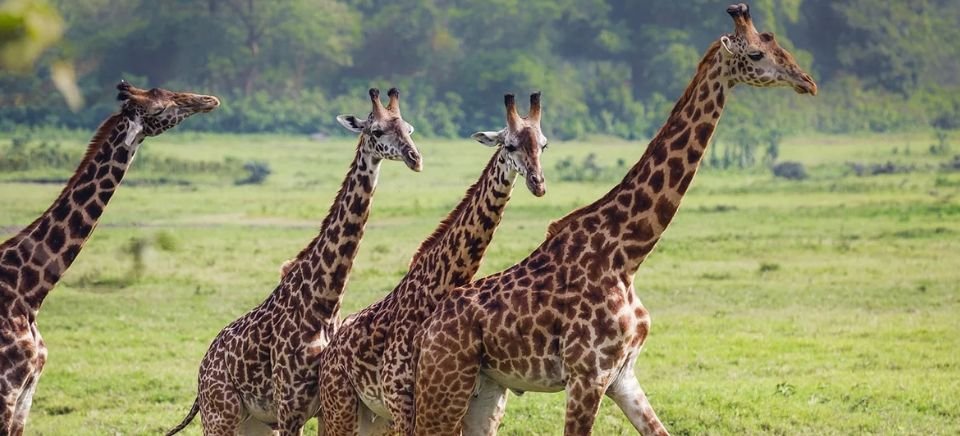 Arusha National Park