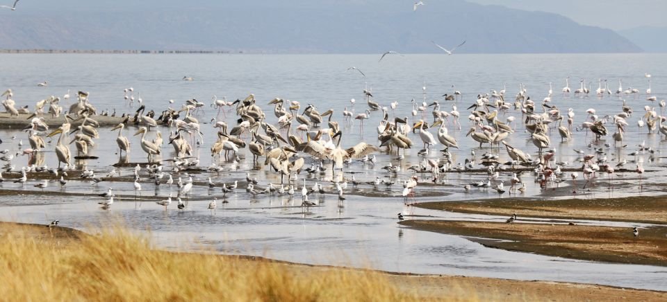 Lake Natron