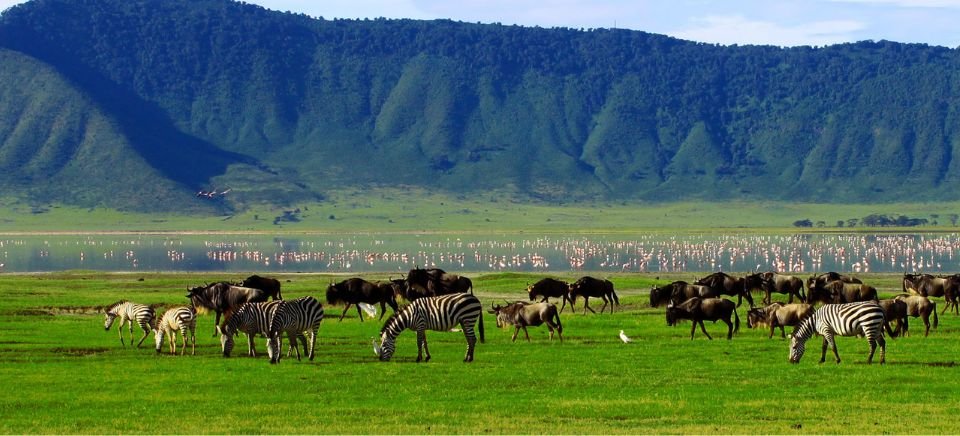 Ngorongoro Crater Area