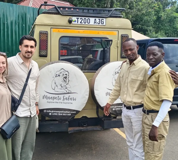 Maapeti Safari Gallery