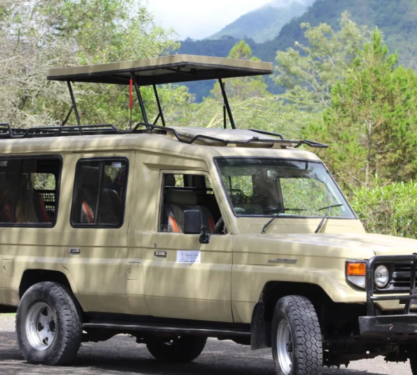 Maapeti Safari Gallery