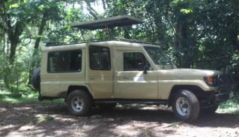 14 Days Unforgettable Tanzania Safari & Cultural Experience