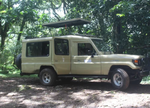 14 Days Unforgettable Tanzania Safari & Cultural Experience | Serengeti Eyasi West Kilimanjaro Ngorongoro Ndutu