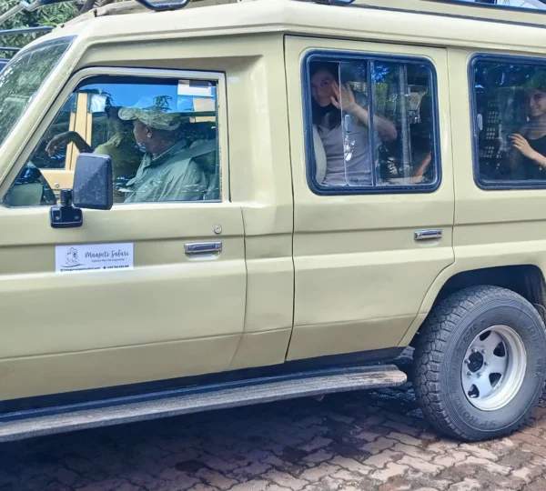 Maapeti Safari Gallery