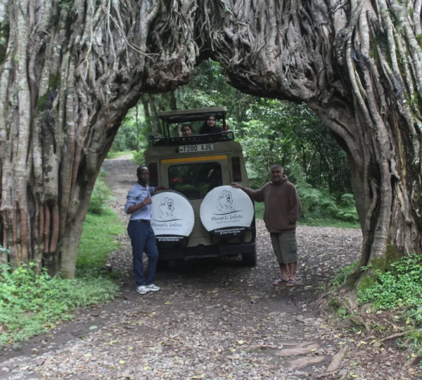 Maapeti Safari Adventure