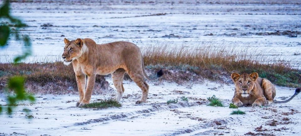 Saadani National Park
