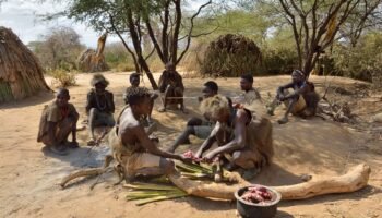 10 Days Tanzania Safari & Cultural Experiences