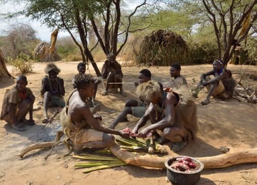 10 Days Tanzania Safari & Cultural Experience | Tarangire Ngorongoro West Kilimanjaro Eyasi